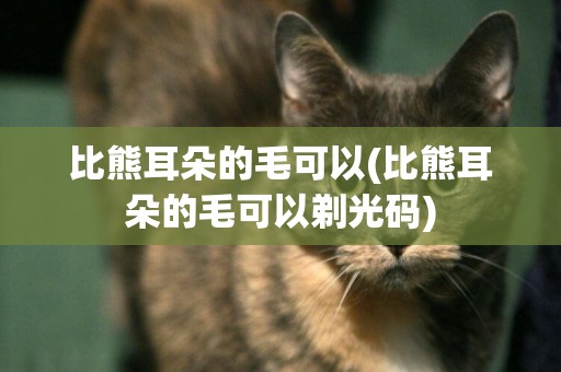 比熊耳朵的毛可以(比熊耳朵的毛可以剃光碼)