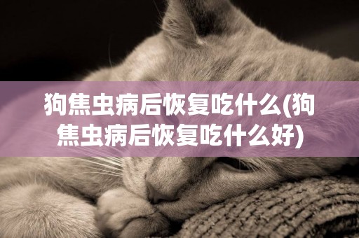 狗焦蟲病后恢復吃什么(狗焦蟲病后恢復吃什么好)