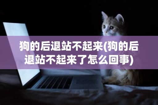 狗的后退站不起來(狗的后退站不起來了怎么回事)