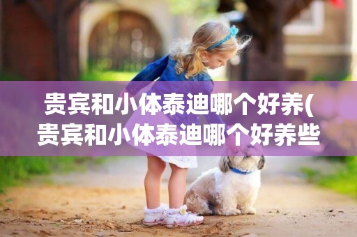 貴賓和小體泰迪哪個好養(貴賓和小體泰迪哪個好養些)