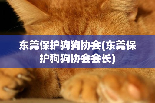東莞保護狗狗協會(東莞保護狗狗協會會長)