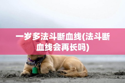一歲多法斗斷血線(法斗斷血線會再長嗎)