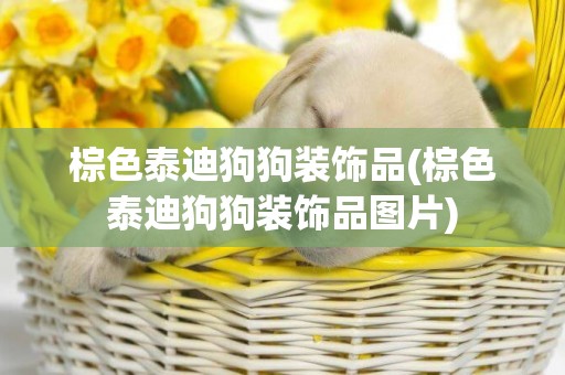 棕色泰迪狗狗裝飾品(棕色泰迪狗狗裝飾品圖片)