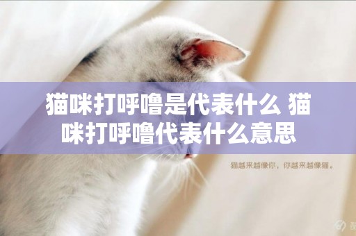 貓咪打呼嚕是代表什么 貓咪打呼嚕代表什么意思