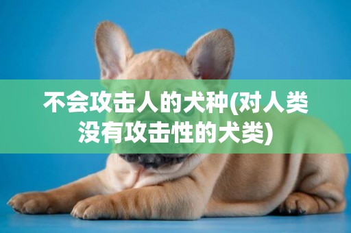 不會攻擊人的犬種(對人類沒有攻擊性的犬類)
