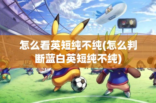 怎么看英短純不純(怎么判斷藍白英短純不純)