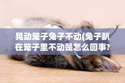 晃動籠子兔子不動(兔子趴在籠子里不動是怎么回事?)