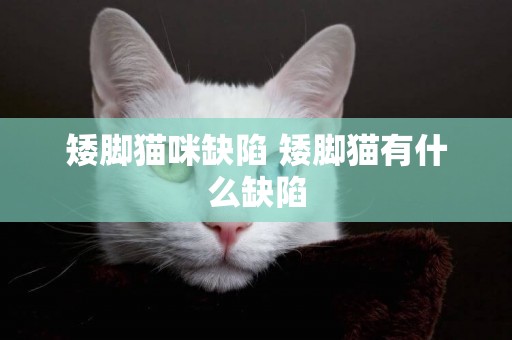 矮腳貓咪缺陷 矮腳貓有什么缺陷