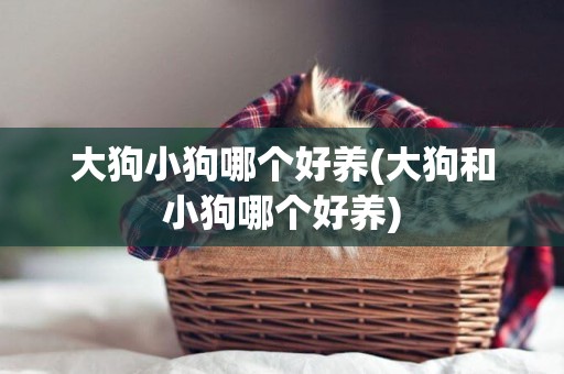 大狗小狗哪個好養(大狗和小狗哪個好養)