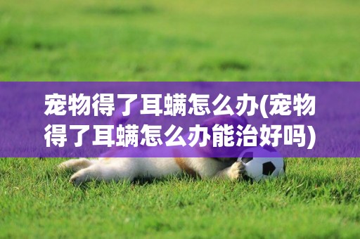 寵物得了耳螨怎么辦(寵物得了耳螨怎么辦能治好嗎)