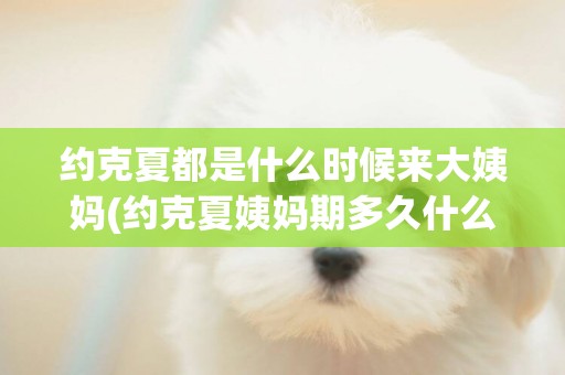 約克夏都是什么時候來大姨媽(約克夏姨媽期多久什么時候能洗澡)