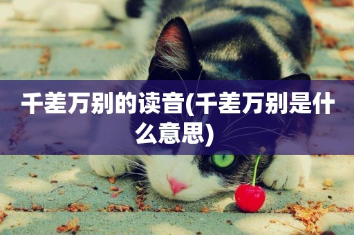 千差萬別的讀音(千差萬別是什么意思) 