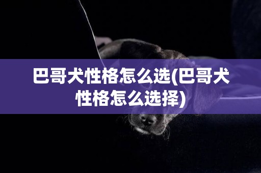 巴哥犬性格怎么選(巴哥犬性格怎么選擇)