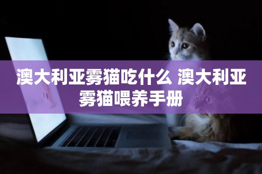 澳大利亞霧貓吃什么 澳大利亞霧貓喂養手冊