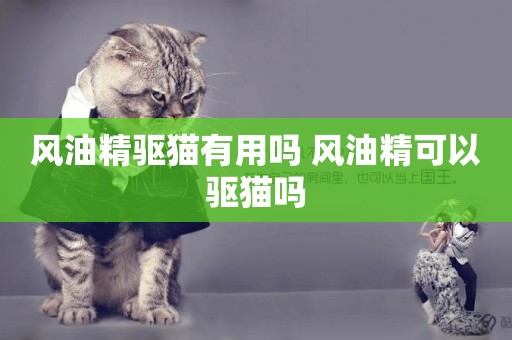 風油精驅貓有用嗎 風油精可以驅貓嗎