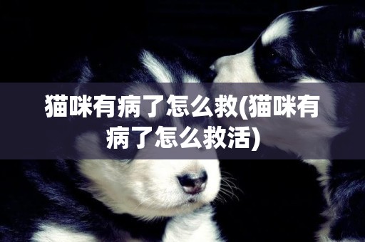 貓咪有病了怎么救(貓咪有病了怎么救活)