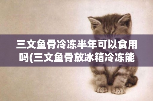 三文魚骨冷凍半年可以食用嗎(三文魚骨放冰箱冷凍能存放多久)