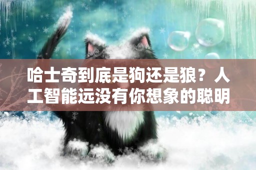 哈士奇到底是狗還是狼？人工智能遠沒有你想象的聰明 