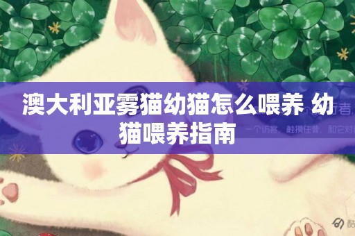 澳大利亞霧貓幼貓怎么喂養 幼貓喂養指南