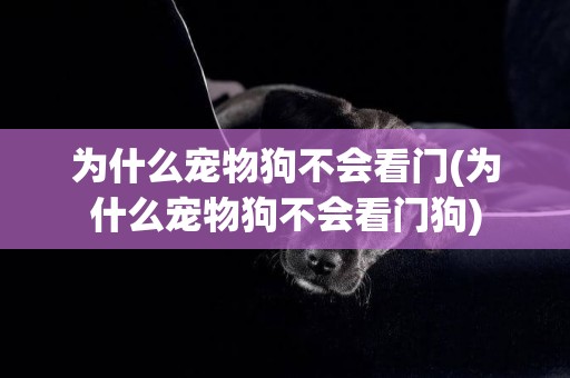 為什么寵物狗不會看門(為什么寵物狗不會看門狗)