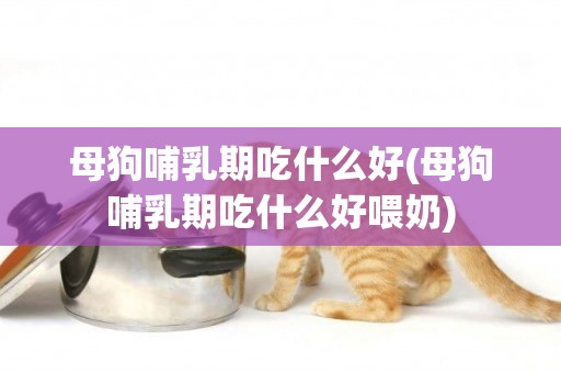 母狗哺乳期吃什么好(母狗哺乳期吃什么好喂奶)