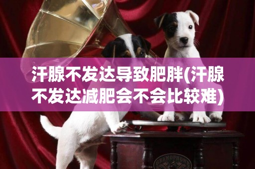 汗腺不發達導致肥胖(汗腺不發達減肥會不會比較難)