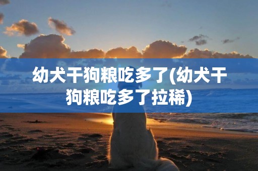 幼犬干狗糧吃多了(幼犬干狗糧吃多了拉稀)