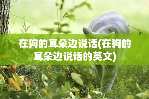 在狗的耳朵邊說話(在狗的耳朵邊說話的英文)