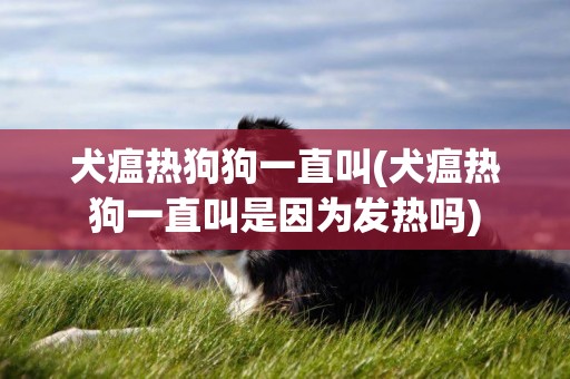 犬瘟熱狗狗一直叫(犬瘟熱狗一直叫是因為發熱嗎)