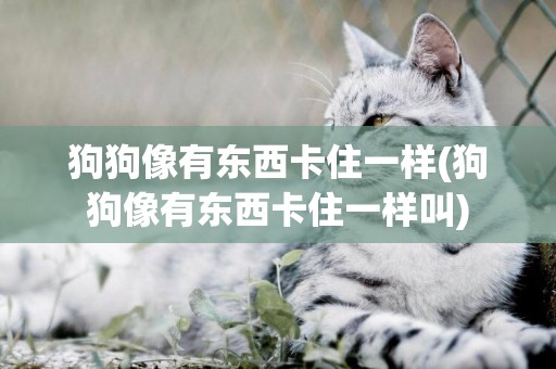 狗狗像有東西卡住一樣(狗狗像有東西卡住一樣叫)