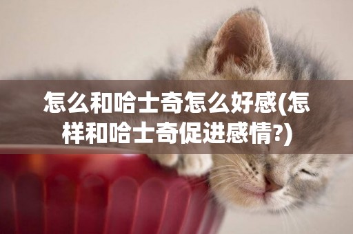 怎么和哈士奇怎么好感(怎樣和哈士奇促進感情?)