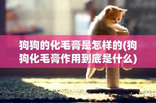 狗狗的化毛膏是怎樣的(狗狗化毛膏作用到底是什么)