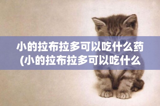 小的拉布拉多可以吃什么藥(小的拉布拉多可以吃什么藥驅蟲)