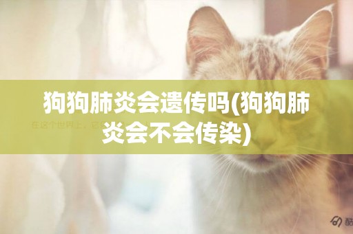 狗狗肺炎會遺傳嗎(狗狗肺炎會不會傳染)