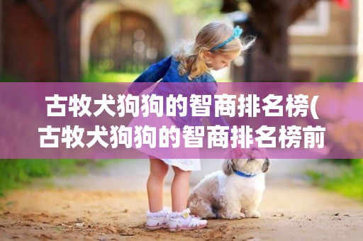 古牧犬狗狗的智商排名榜(古牧犬狗狗的智商排名榜前十名)