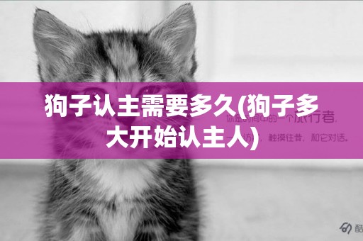 狗子認主需要多久(狗子多大開始認主人)