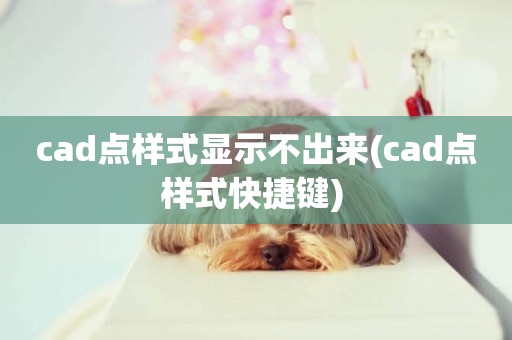 cad點樣式顯示不出來(cad點樣式快捷鍵) 