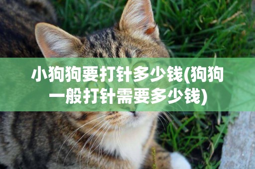 小狗狗要打針多少錢(狗狗一般打針需要多少錢)