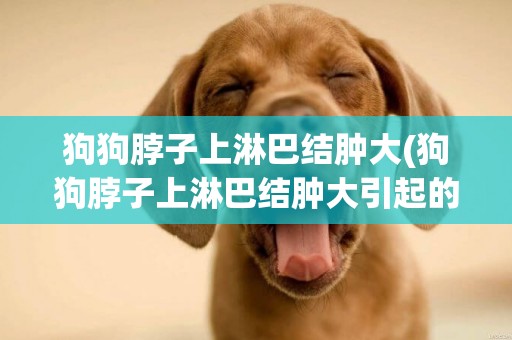 狗狗脖子上淋巴結腫大(狗狗脖子上淋巴結腫大引起的癥狀)