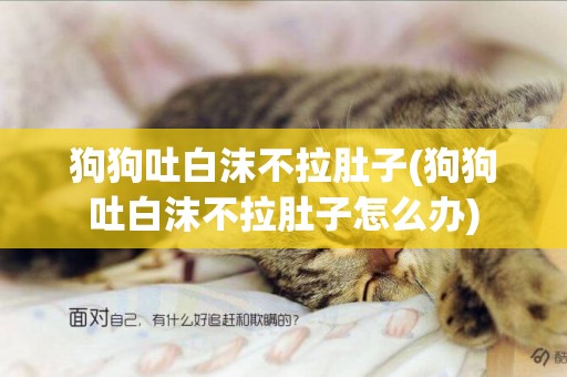 狗狗吐白沫不拉肚子(狗狗吐白沫不拉肚子怎么辦)