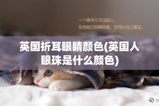 英國折耳眼睛顏色(英國人眼珠是什么顏色)