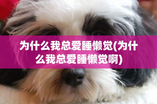 為什么我總愛睡懶覺(為什么我總愛睡懶覺啊)