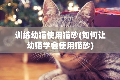 訓練幼貓使用貓砂(如何讓幼貓學會使用貓砂)