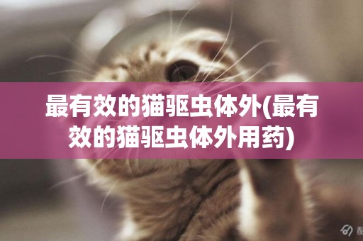 最有效的貓驅蟲體外(最有效的貓驅蟲體外用藥)