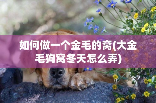 如何做一個金毛的窩(大金毛狗窩冬天怎么弄)