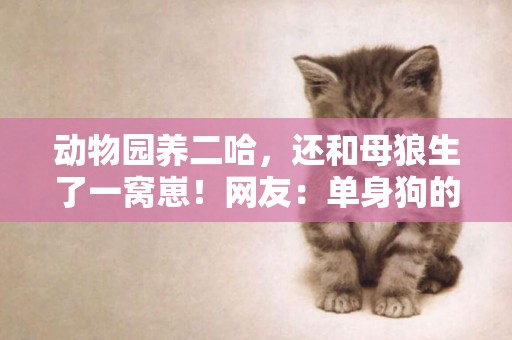 動物園養二哈，還和母狼生了一窩崽！網友：單身狗的逆襲 