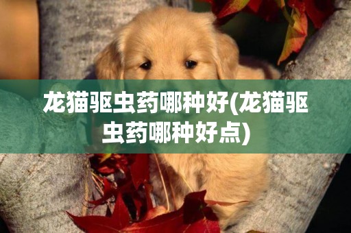龍貓驅蟲藥哪種好(龍貓驅蟲藥哪種好點)