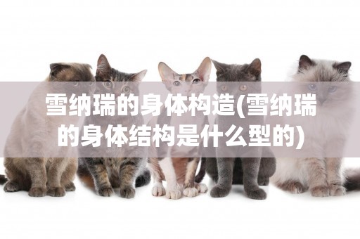 雪納瑞的身體構造(雪納瑞的身體結構是什么型的)