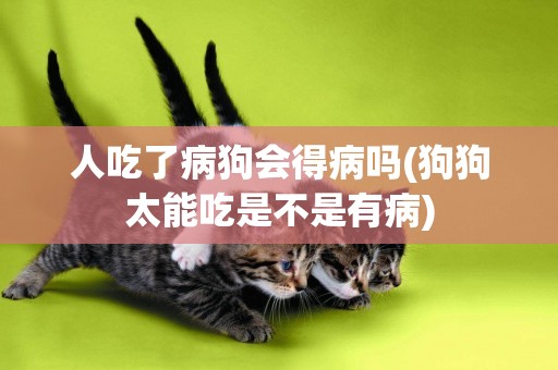 人吃了病狗會得病嗎(狗狗太能吃是不是有病)