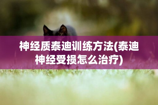 神經質泰迪訓練方法(泰迪神經受損怎么治療)